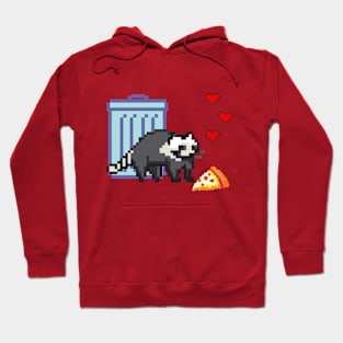 A Trash Panda's Love Hoodie